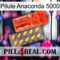 Anaconda 5000 Pill new01